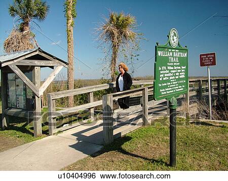 Micanopy, FL, Florida, Paynes Prairie Preserve State Park View Large Photo Image Stock Photograph - Micanopy, FL, Florida, Paynes Prairie Preserve State Park. Fotosearch