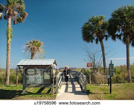 Micanopy, FL, Florida, Paynes Prairie Preserve State Park View Large Photo Image Stock Photograph - Micanopy, FL, Florida, Paynes Prairie Preserve State Park. Fotosearch