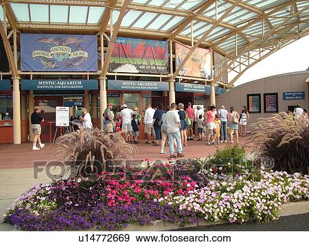Stock Photo -  Mystic, CT, Connecticut, Mystic Aquarium and Institute for Exploration. Fotosearch