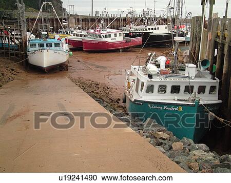 New Brunswick, Alma, Bay of Fundy, Canada, Highest tide in the world (48 feet), fishing boats View Large Photo Image Stock Image - New Brunswick, Alma, Bay of Fundy, Canada, Highest tide in the world (48 feet), fishing boats. Fotosearch