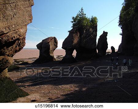 New Brunswick, Bay of Fundy, Canada, Hopewell Cape, Hopewell Rocks Ocean Tidal Exploration Site, Flower Pot Rocks View Large Photo Image Picture - New Brunswick, Bay of Fundy, Canada, Hopewell Cape, Hopewell Rocks Ocean Tidal Exploration Site, Flower Pot Rocks. Fotosearch