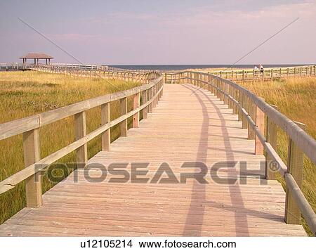 New Brunswick, Bouctouche, Canada, Acadian Coastal Drive, La Dune de Bouctouche, Irving Eco-Centre, Boardwalk across the sand dunes along Bouctouche Bay. View Large Photo Image Picture - New Brunswick, Bouctouche, Canada, Acadian Coastal Drive, La Dune de Bouctouche, Irving Eco-Centre, Boardwalk across the sand dunes along Bouctouche Bay.. Fotosearch