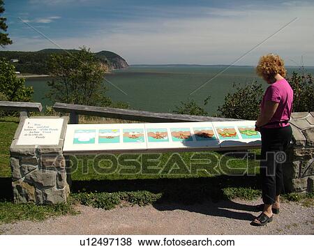 New Brunswick, Canada, Fundy National Park, Bay of Fundy, overlook View Large Photo Image Stock Photo - New Brunswick, Canada, Fundy National Park, Bay of Fundy, overlook. Fotosearch