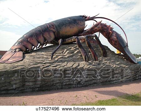 New Brunswick, Canada, Shediac, Acadian Coastal Drive, World's Largest Lobster, Lobster Capital of the World View Large Photo Image Stock Photograph - New Brunswick, Canada, Shediac, Acadian Coastal Drive, World's Largest Lobster, Lobster Capital of the World. Fotosearch