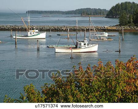 Picture -  New Brunswick, Passamaquoddy Bay, Deer Island, Canada, fishing boats. Fotosearch