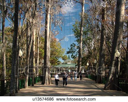 Ocala, FL, Florida, Florida's Silver Springs View Large Photo Image Stock Photograph - Ocala, FL, Florida, Florida's Silver Springs. Fotosearch