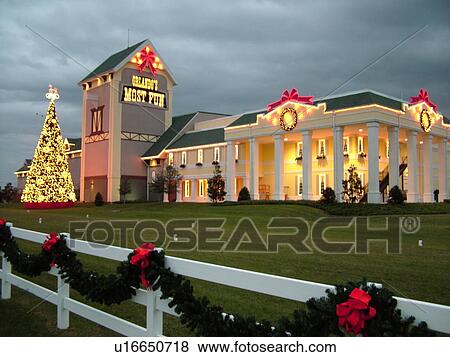 Orlando, FL, Florida, Dixie Stampede Dinner & Show, evening View Large Photo Image Stock Photo - Orlando, FL, Florida, Dixie Stampede Dinner & Show, evening. Fotosearch