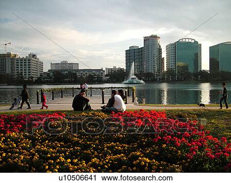 Orlando, FL, Florida, Downtown skyline, Lake Eola, Lake Eola Park View Large Photo Image Stock Image - Orlando, FL, Florida, Downtown skyline, Lake Eola, Lake Eola Park. Fotosearch