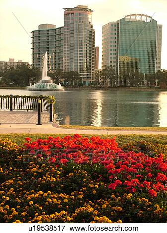 Stock Photo -  Orlando, FL, Florida, Downtown skyline, Lake Eola, Lake Eola Park. Fotosearch