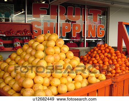 Stock Photo -  Orlando, FL, Florida, Kissimmee, Orange World, fruit stand, grapefruit, oranges. Fotosearch