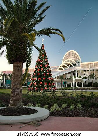 Orlando, FL, Florida, Orange County Convention Center, Christmas Tree, decorations View Large Photo Image Stock Image - Orlando, FL, Florida, Orange County Convention Center, Christmas Tree, decorations. Fotosearch