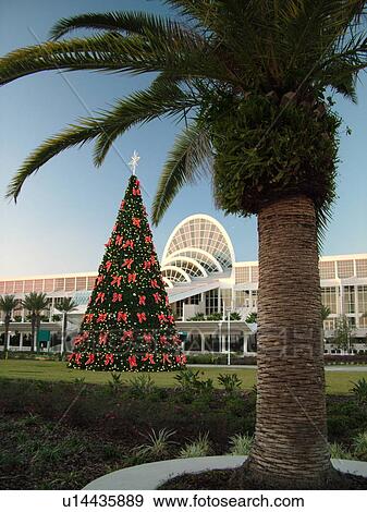 Orlando, FL, Florida, Orange County Convention Center, Christmas Tree, decorations View Large Photo Image Stock Photo - Orlando, FL, Florida, Orange County Convention Center, Christmas Tree, decorations. Fotosearch