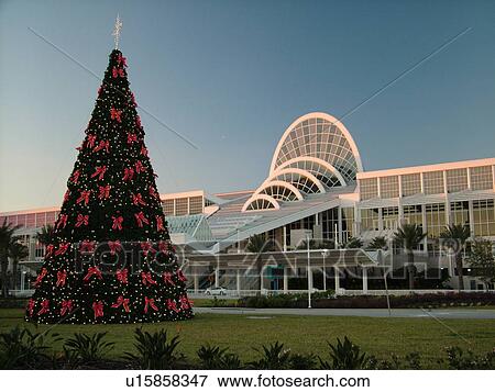 Orlando, FL, Florida, Orange County Convention Center, Christmas Tree, decorations View Large Photo Image Stock Photo - Orlando, FL, Florida, Orange County Convention Center, Christmas Tree, decorations. Fotosearch