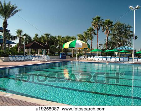 Orlando, FL, Florida, Orange Lake Country Club and Resort, swimming pool, Olympic size pool View Large Photo Image Stock Photo - Orlando, FL, Florida, Orange Lake Country Club and Resort, swimming pool, Olympic size pool. Fotosearch