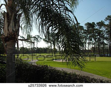Stock Photograph -  Orlando, FL, Florida, Orange Lake Country Club and Resort, golf course. Fotosearch