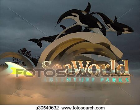 Orlando, FL, Florida, Sea World, evening View Large Photo Image Stock Image - Orlando, FL, Florida, Sea World, evening. Fotosearch