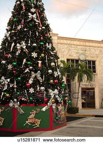 Palm Beach, FL, Florida, downtown, Worth Avenue, shopping district, exclusive shops, Christmas Tree View Large Photo Image Stock Image - Palm Beach, FL, Florida, downtown, Worth Avenue, shopping district, exclusive shops, Christmas Tree. Fotosearch