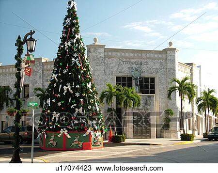 Palm Beach, FL, Florida, downtown, Worth Avenue, shopping district, exclusive shops, Christmas tree View Large Photo Image Stock Image - Palm Beach, FL, Florida, downtown, Worth Avenue, shopping district, exclusive shops, Christmas tree. Fotosearch