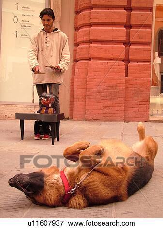 Perugia, Umbria, Italy, Europe, Street artist and his dog along Corso Vannucci Street in the medieval town of Perugia. View Large Photo Image Stock Photo - Perugia, Umbria, Italy, Europe, Street artist and his dog along Corso Vannucci Street in the medieval town of Perugia.. Fotosearch