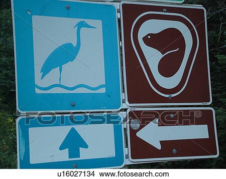 Prince Edward Island, Canada, Cavendish, Queens County, Blue Heron Scenic Drive road sign, National Park Historic Site road sign View Large Photo Image Picture - Prince Edward Island, Canada, Cavendish, Queens County, Blue Heron Scenic Drive road sign, National Park Historic Site road sign. Fotosearch