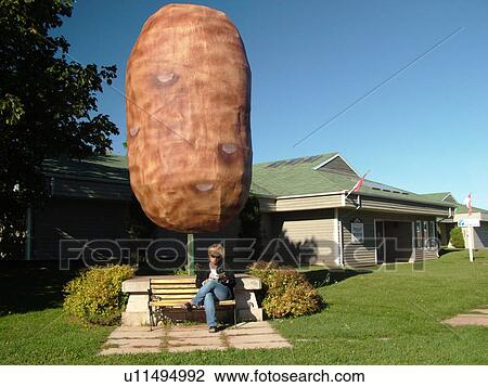 Prince Edward Island, Canada, Prince County, O'Leary, 14 foot Potato displayed outside the Potato Museum and Hall of Fame View Large Photo Image Stock Image - Prince Edward Island, Canada, Prince County, O'Leary, 14 foot Potato displayed outside the Potato Museum and Hall of Fame. Fotosearch