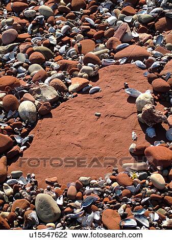 Prince Edward Island, Canada, Queens County, Gulf of Saint Lawrence, Cavendish Beach, Prince Edward Island National Park, red sandstone, seashells, beach, close-up View Large Photo Image Stock Image - Prince Edward Island, Canada, Queens County, Gulf of Saint Lawrence, Cavendish Beach, Prince Edward Island National Park, red sandstone, seashells, beach, close-up. Fotosearch