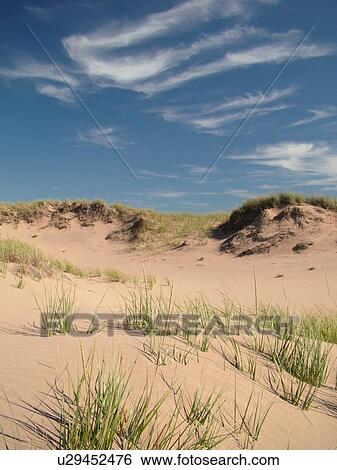 Prince Edward Island, Canada, Queens County, Gulf of Saint Lawrence, Cavendish Beach, Prince Edward Island National Park, sand dunes, beach View Large Photo Image Stock Photograph -  Prince Edward Island, Canada, Queens County, Gulf of Saint Lawrence, Cavendish Beach, Prince Edward Island National Park, sand dunes, beach. Fotosearch