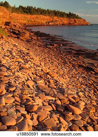 Prince Edward Island, Gulf of Saint Lawrence, Cavendish Beach, Prince Edward Island National Park, Queens County, Canada, scenic coastline View Large Photo Image Stock Image -  Prince Edward Island, Gulf of Saint Lawrence, Cavendish Beach, Prince Edward Island National Park, Queens County, Canada, scenic coastline. Fotosearch