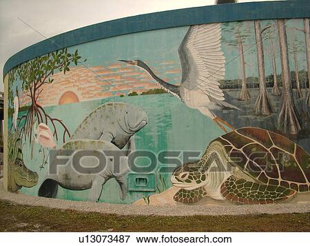 Stock Photo -  Royal Palm Hammock, FL, Florida, Ten Thousand Islands, painting of Florida wildlife. Fotosearch