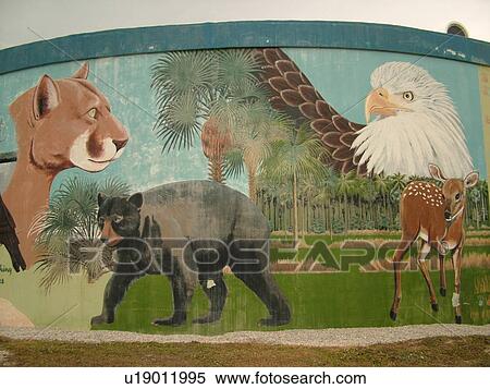 Royal Palm Hammock, FL, Florida, Ten Thousand Islands, painting of Florida wildlife View Large Photo Image Stock Photography - Royal Palm Hammock, FL, Florida, Ten Thousand Islands, painting of Florida wildlife. Fotosearch