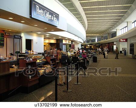San Francisco, CA, California, San Francisco International airport, hub, restaurant, airport terminal, concourse View Large Photo Image Stock Photo - San Francisco, CA, California, San Francisco International airport, hub, restaurant, airport terminal, concourse. Fotosearch