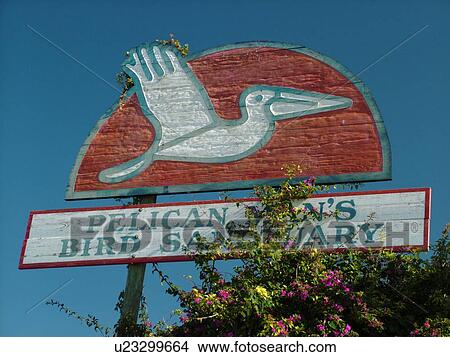 Picture -  Sarasota, FL, Florida, City Island, Pelican Man's Bird Sanctuary, sign. Fotosearch