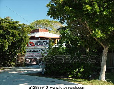 Stock Image -  Sarasota, FL, Florida, City Island, Pelican Man's Bird Sanctuary. Fotosearch