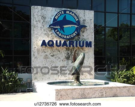 Sarasota, FL, Florida, City Island, MOTE Aquarium, Mote Marine Laboratory, sign View Large Photo Image Stock Photograph - Sarasota, FL, Florida, City Island, MOTE Aquarium, Mote Marine Laboratory, sign. Fotosearch