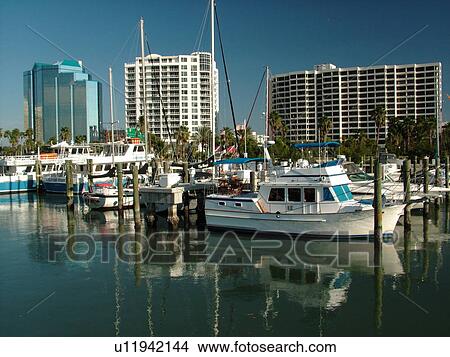 Sarasota, FL, Florida, Sarasota Bay, marina View Large Photo Image Picture - Sarasota, FL, Florida, Sarasota Bay, marina. Fotosearch