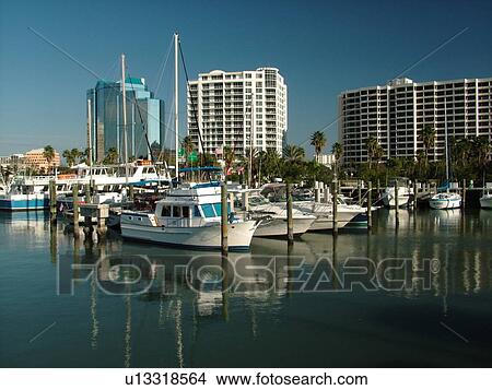 Sarasota, FL, Florida, Sarasota Bay, marina View Large Photo Image Picture - Sarasota, FL, Florida, Sarasota Bay, marina. Fotosearch