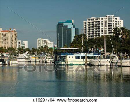 Sarasota, FL, Florida, Sarasota Bay, marina View Large Photo Image Picture - Sarasota, FL, Florida, Sarasota Bay, marina. Fotosearch