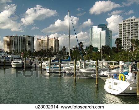 Sarasota, FL, Florida, Sarasota Bay, marina View Large Photo Image Picture - Sarasota, FL, Florida, Sarasota Bay, marina. Fotosearch