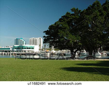 Sarasota, FL, Florida, Sarasota Bay, Island Park, marina View Large Photo Image Stock Image - Sarasota, FL, Florida, Sarasota Bay, Island Park, marina. Fotosearch
