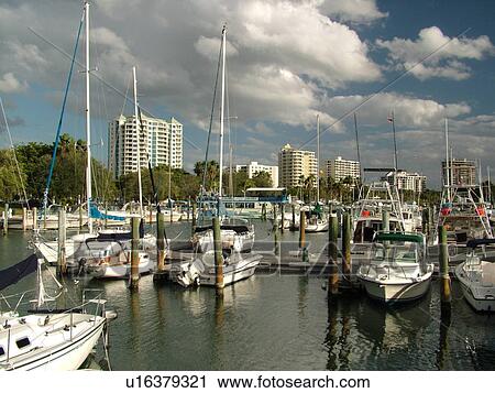 Sarasota, FL, Florida, Sarasota Bay, marina View Large Photo Image Stock Image - Sarasota, FL, Florida, Sarasota Bay, marina. Fotosearch