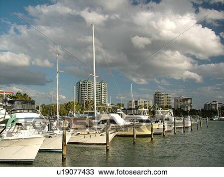 Sarasota, FL, Florida, Sarasota Bay, marina View Large Photo Image Stock Image - Sarasota, FL, Florida, Sarasota Bay, marina. Fotosearch