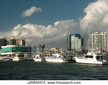 Stock Image -  Sarasota, FL, Florida, Sarasota Bay, Island Park, marina. Fotosearch