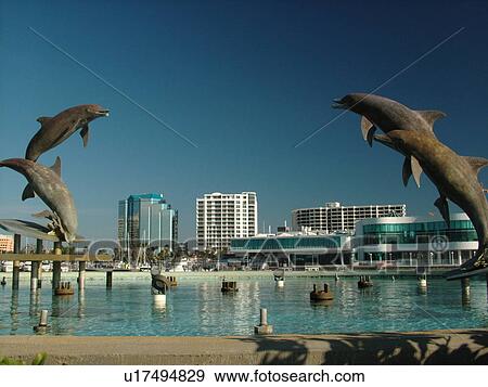 Sarasota, FL, Florida, Sarasota Bay, Island Park, dolphin fountain View Large Photo Image Stock Photo - Sarasota, FL, Florida, Sarasota Bay, Island Park, dolphin fountain. Fotosearch