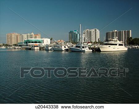 Sarasota, FL, Florida, Sarasota Bay, marina View Large Photo Image Stock Photo - Sarasota, FL, Florida, Sarasota Bay, marina. Fotosearch
