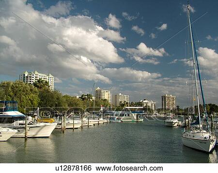 Sarasota, FL, Florida, Sarasota Bay, marina View Large Photo Image Stock Photograph - Sarasota, FL, Florida, Sarasota Bay, marina. Fotosearch