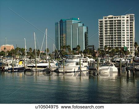 Sarasota, FL, Florida, Sarasota Bay, marina View Large Photo Image Stock Photography - Sarasota, FL, Florida, Sarasota Bay, marina. Fotosearch