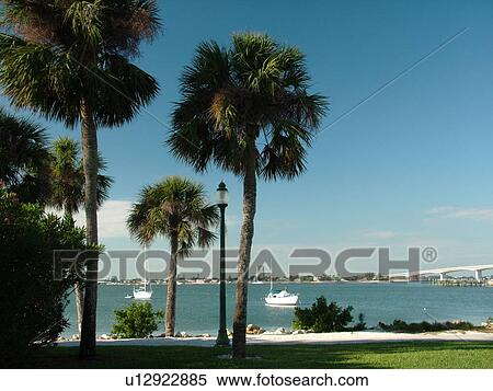Sarasota, FL, Florida, Sarasota Bay, Island Park View Large Photo Image Stock Photography - Sarasota, FL, Florida, Sarasota Bay, Island Park. Fotosearch