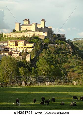 Spoleto, Italy, Umbria, Europe, Rocca (castle) Albornoziana in the medieval city of Spoleto. Sheep grazing in a field in the foreground. View Large Photo Image Stock Image - Spoleto, Italy, Umbria, Europe, Rocca (castle) Albornoziana in the medieval city of Spoleto. Sheep grazing in a field in the foreground.. Fotosearch