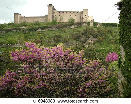 Stock Image -  Spoleto, Italy, Umbria, Europe, Rocca (castle) Albornoziana in the medieval city of Spoleto.. Fotosearch