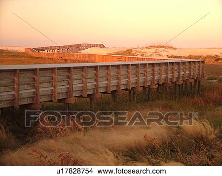 St. Augustine, FL, Florida, Anastasia Island, Anastasia State Park, Atlantic Ocean, boardwalk crosses over the dunes on the beach at sunrise View Large Photo Image Picture - St. Augustine, FL, Florida, Anastasia Island, Anastasia State Park, Atlantic Ocean, boardwalk crosses over the dunes on the beach at sunrise. Fotosearch